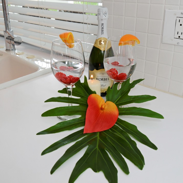 Casa Blanca - Savona - Cape Coral (49)